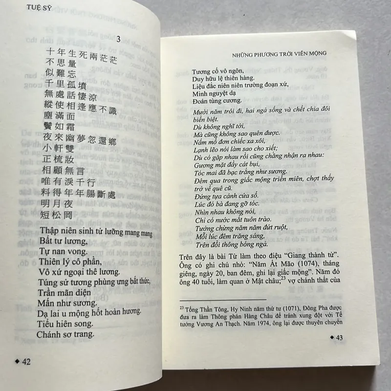 Tô Đông Pha Những phương trời viễn mộng - Tuệ Sỹ 625747