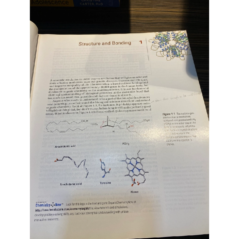 Organinc Chemistry : A Biological Approach - John McMurry 449295