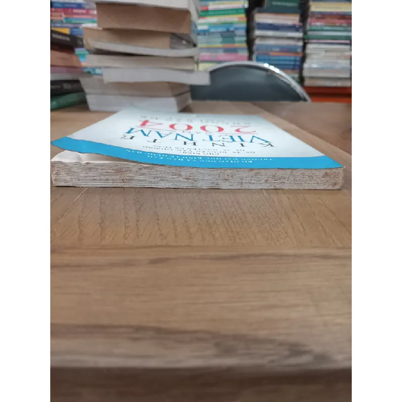 Kinh Tế Việt Nam Năm 2004 : Những vấn đề nổi bật - Nguyễn Văn Thường, Nguyễn Kế Tuấn 331068