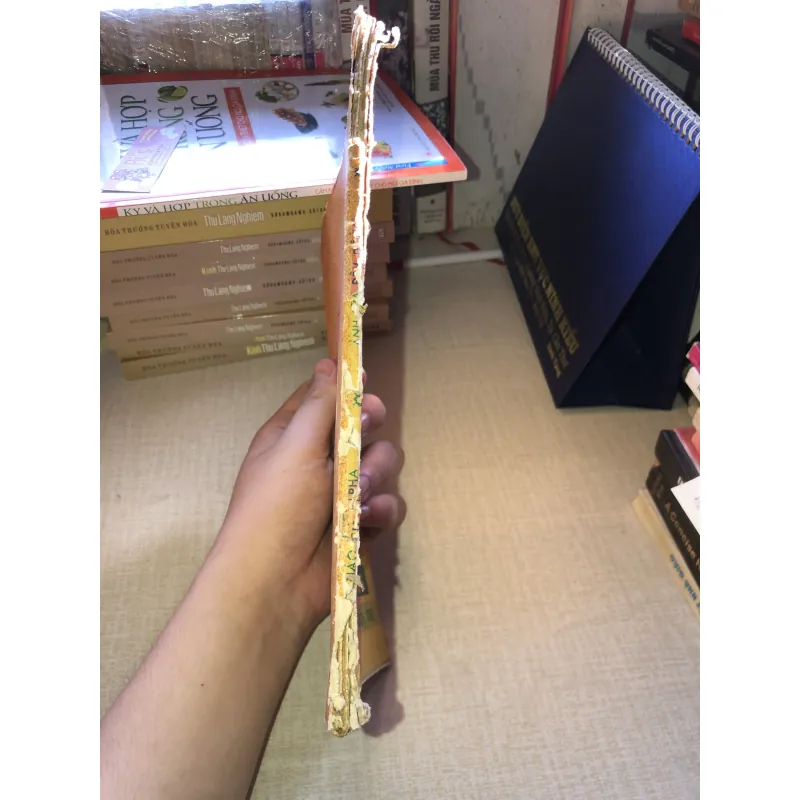 Ánh Lửa Đêm Đông-Ban Giáo Sư ALPHA 956855