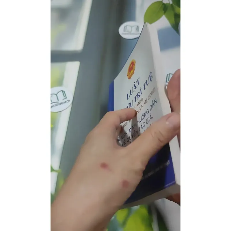 Luật Sở Hữu Trí Tuệ Và Nghị Định Hướng Dẫn Về Quyền Tác Giả, Quyền Liên Quan 727366