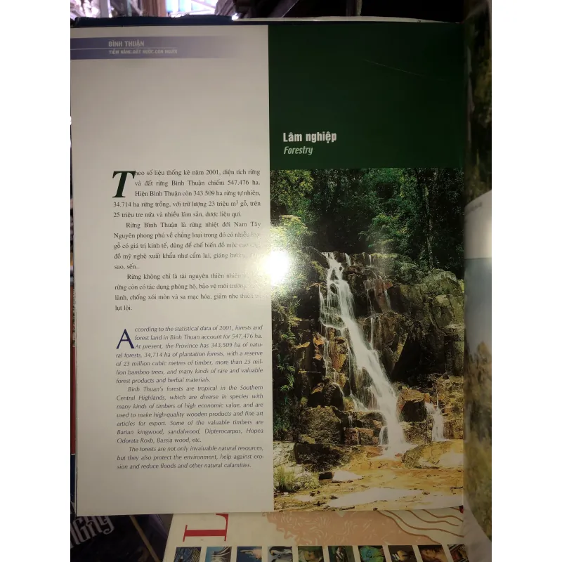 Bình Thuận: tiềm năng - Đất nước - Con người  752438