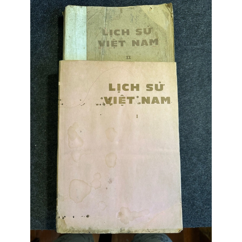 LỊCH SỬ VIỆT NAM (TRỌN BỘ 2 QUYỂN) - BẢN ĐẸP VỪA 475538