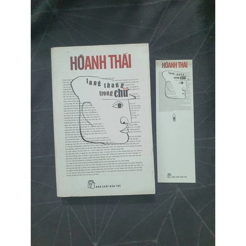 "Lang thang trong chữ" - Hồ Anh Thái 498935