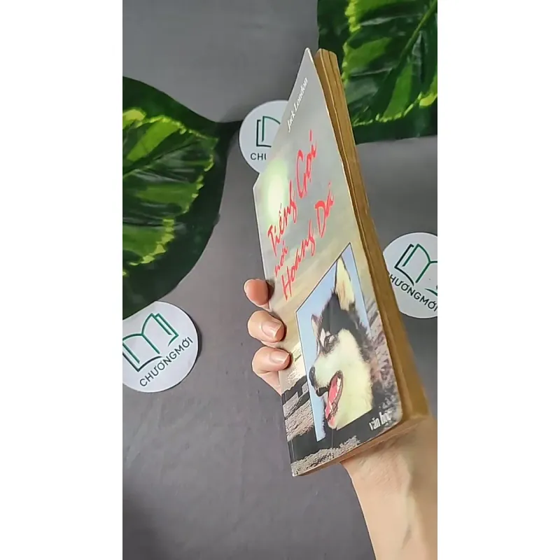 Tiếng Gọi Nơi Hoang Dã (1996) - Jack London 604594