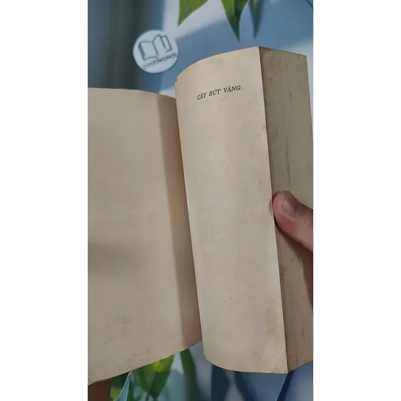 [XƯA] Cây Bút Vàng 2 (1999) 798305