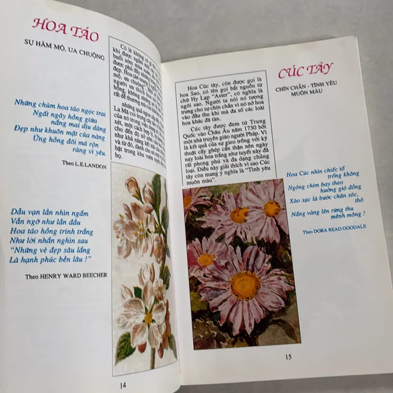 Ngôn ngữ của các loài hoa 800999