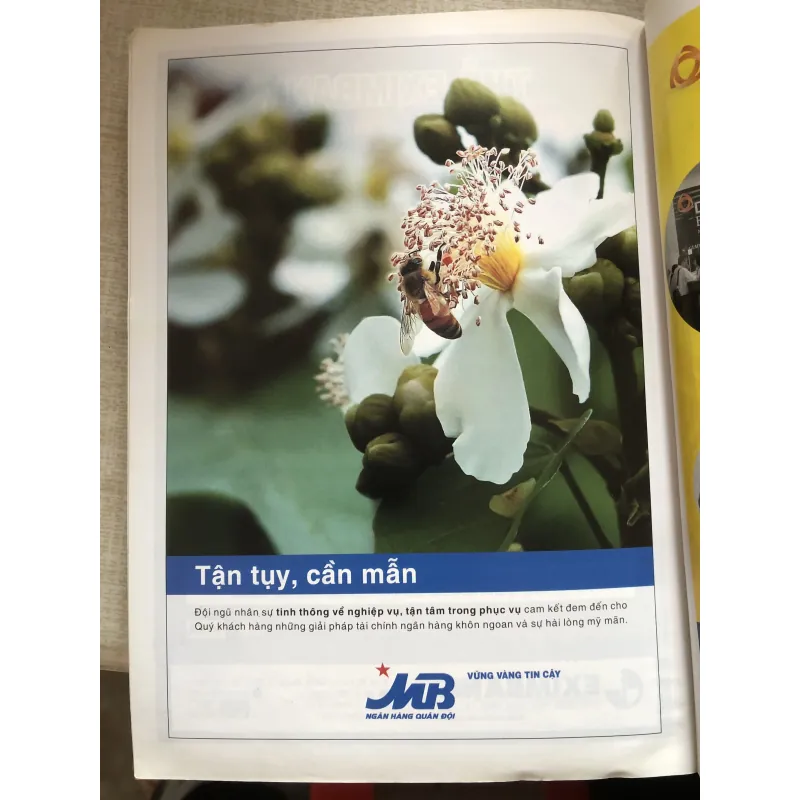 Thăng trầm ngân hàng - Hải Lý  968769