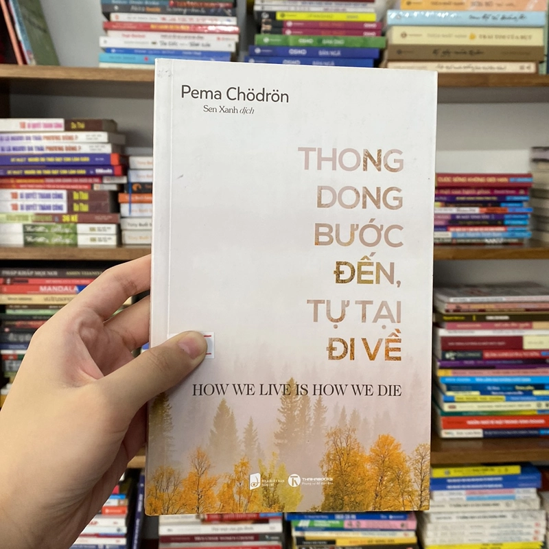 Thong dong bước đến,tự tại đi về-Pema Chödrön 530895