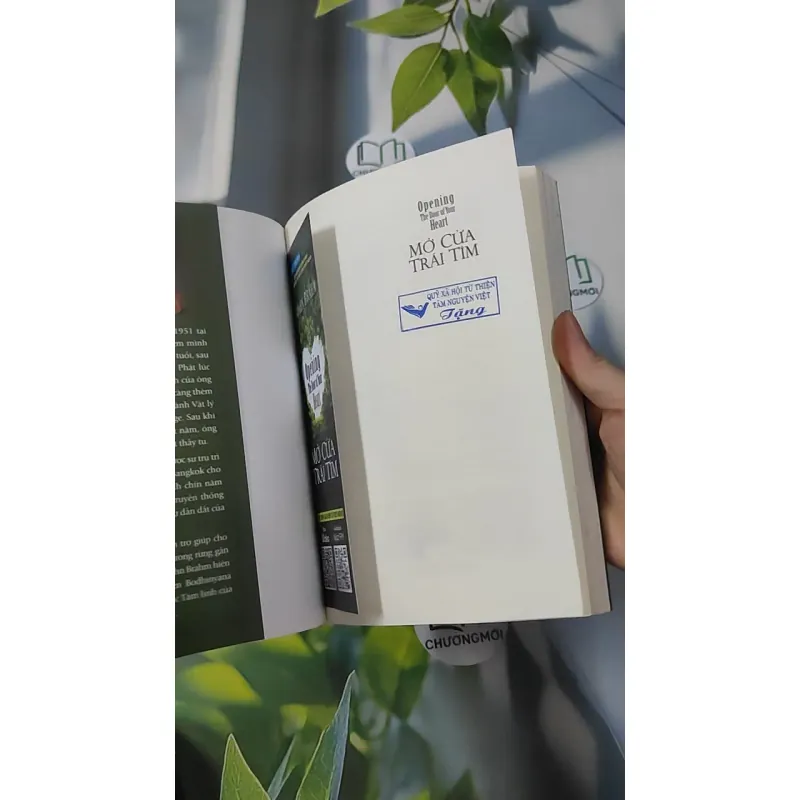 Mở Cửa Trái Tim - Ajahn Brahm 961161