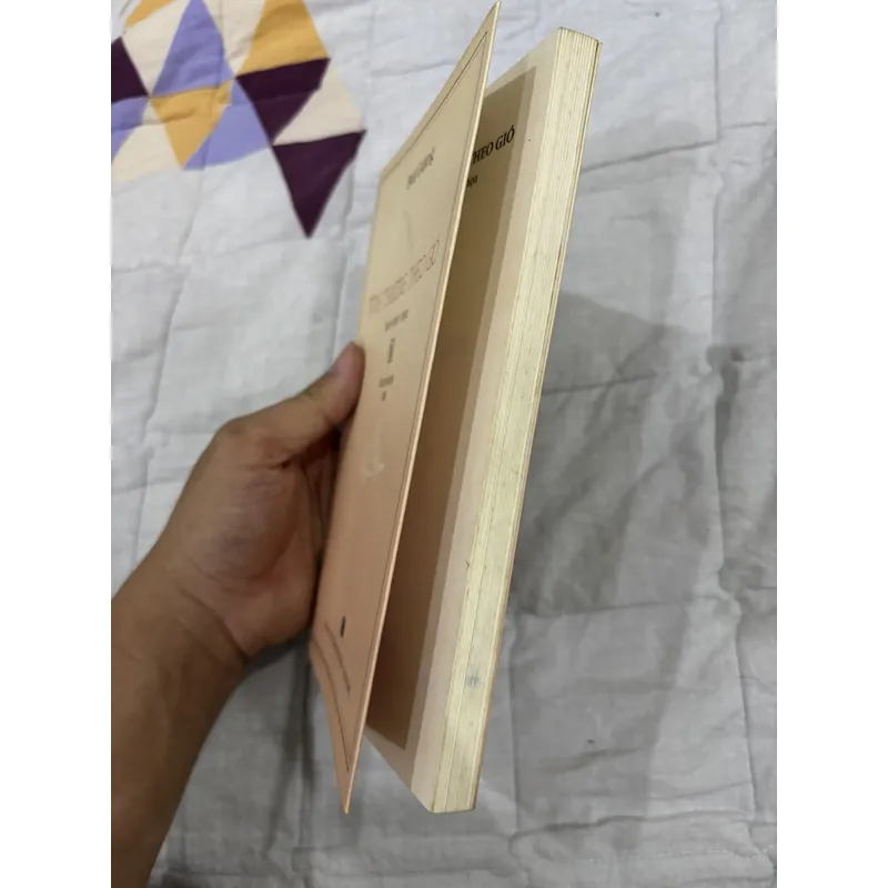 Tình thương theo gió - Bùi Giáng. 701132