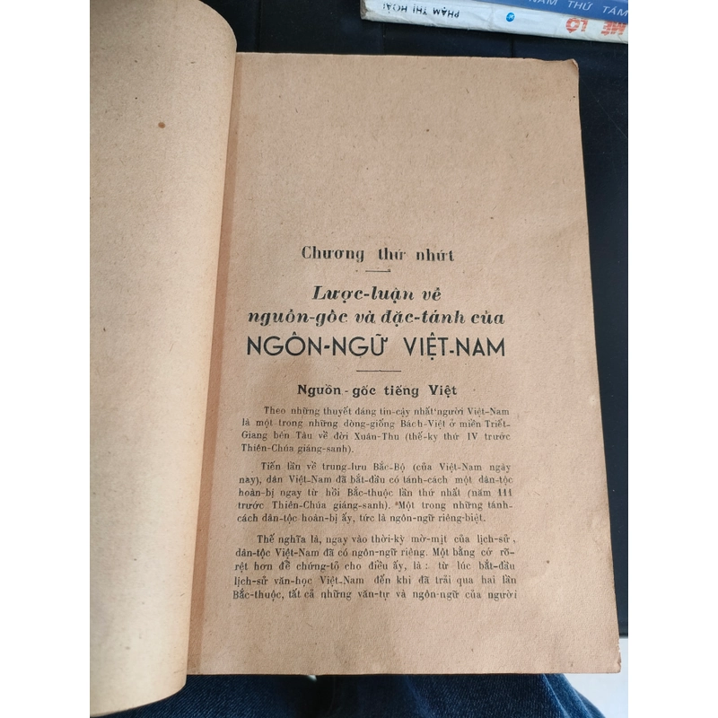 NHỮNG NHẬN XÉT VỀ VĂN PHẠM VIỆT NAM  279046