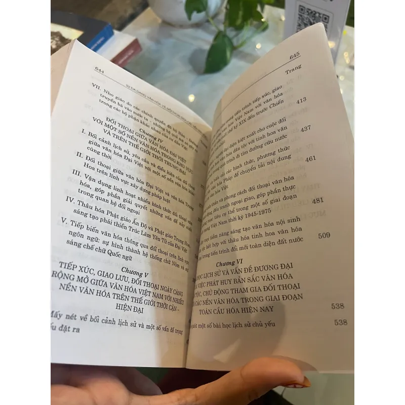 SỰ ĐA DẠNG VĂN HOÁ VÀ ĐỐI THOẠI GIỮA CÁC NỀN VĂN HOÁ MỘT GÓC NHÌN TỪ VIỆT NAM  1027581