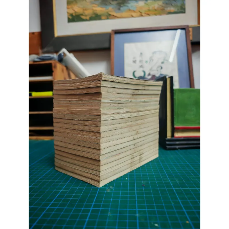 TRUYỆN TRANH CHUYỆN TÌNH VƯỢT THỜI GIAN ( PHẦN 2 HỎA VƯƠNG ) - SU LAN YU 324416