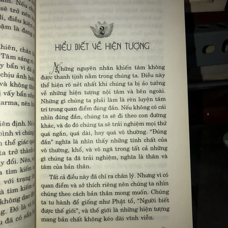 Trong vòng sinh diệt - Ajahn Chah 735839