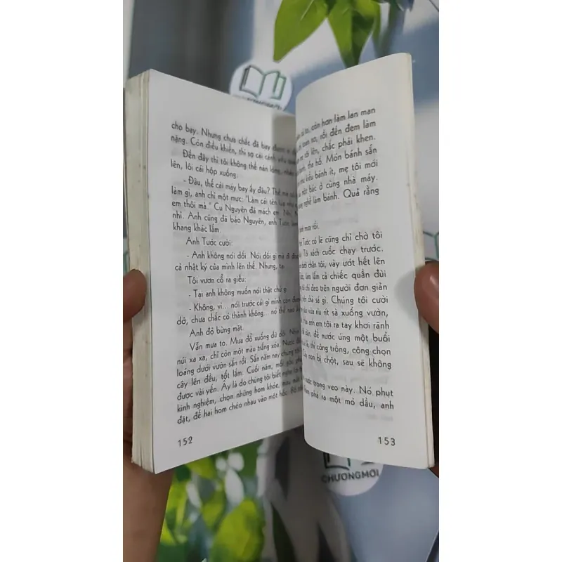 Hạt Chò Chỉ - Lê Minh 798479