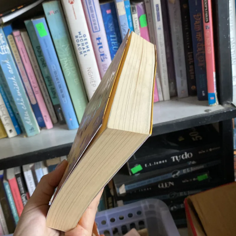 Dấu chân trên cát Nguyên Phong 755101