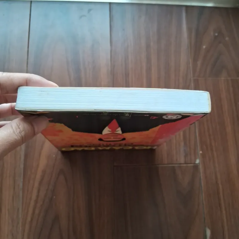 Hồ cẩm đào - con đường phía trước 593244