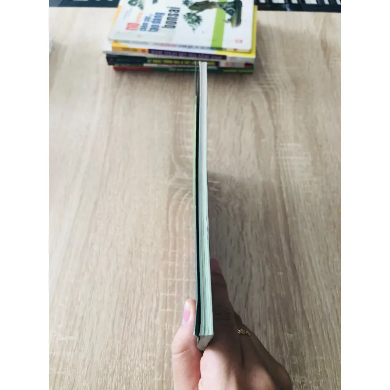 CÂY XƯƠNG RỒNG  1007319