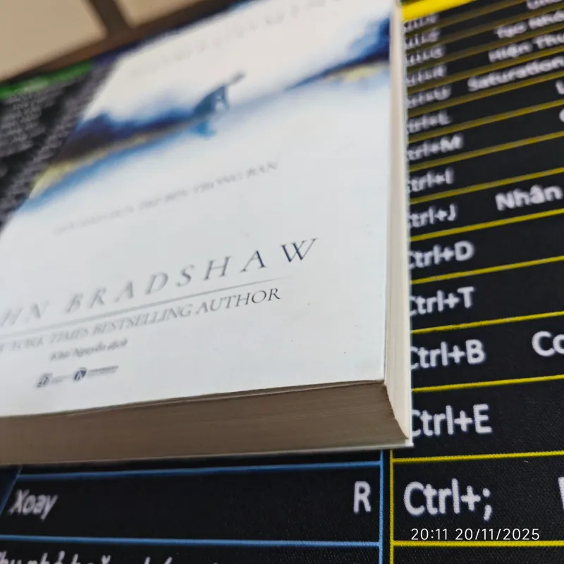 HOMECOMING - Hồi Sinh Đứa Trẻ Bên Trong Bạn - John Bradshaw 702843