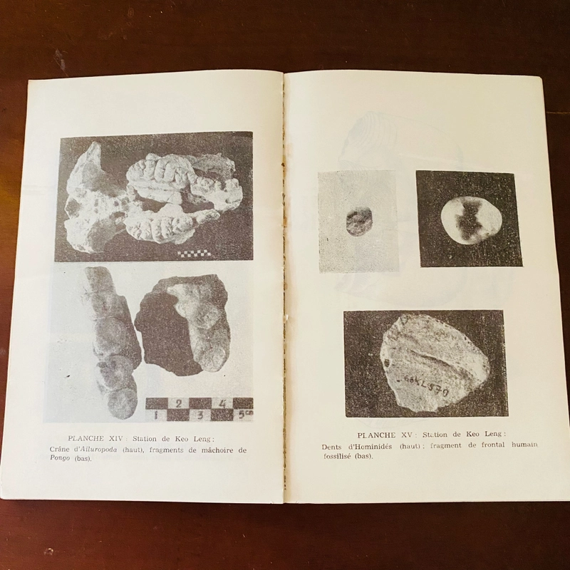 Etudes Vietnamiennes: Données archéologiques  473746