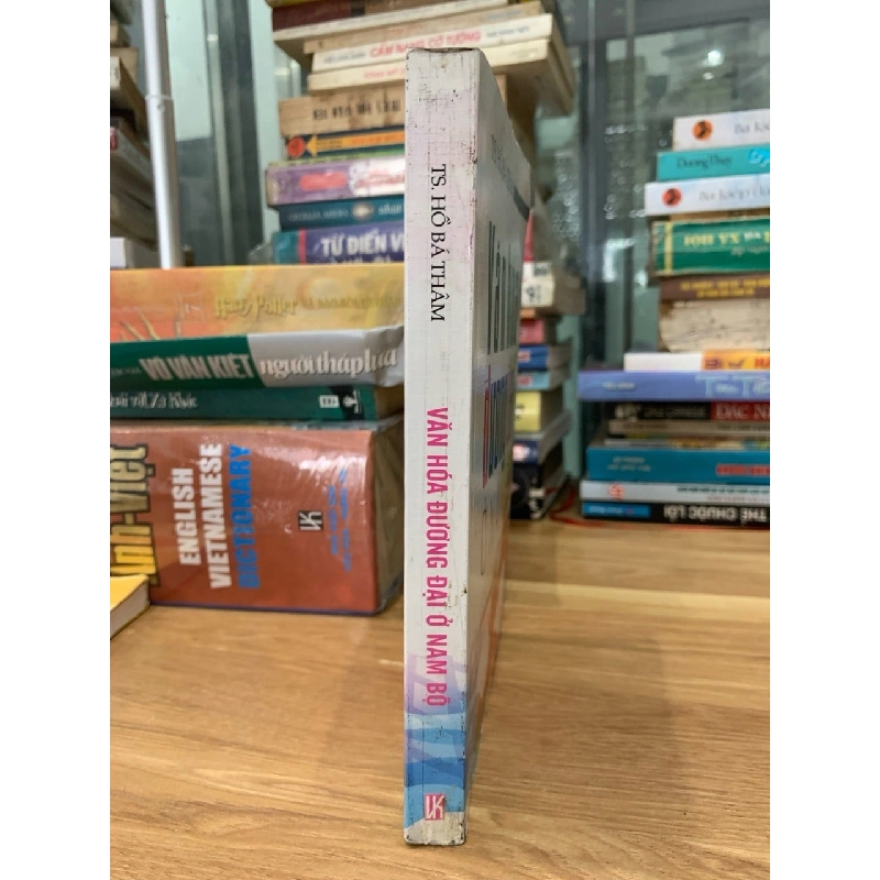 Văn hoá đương đại ở Nam Bộ -TS. Hồ Bá Thâm 750645