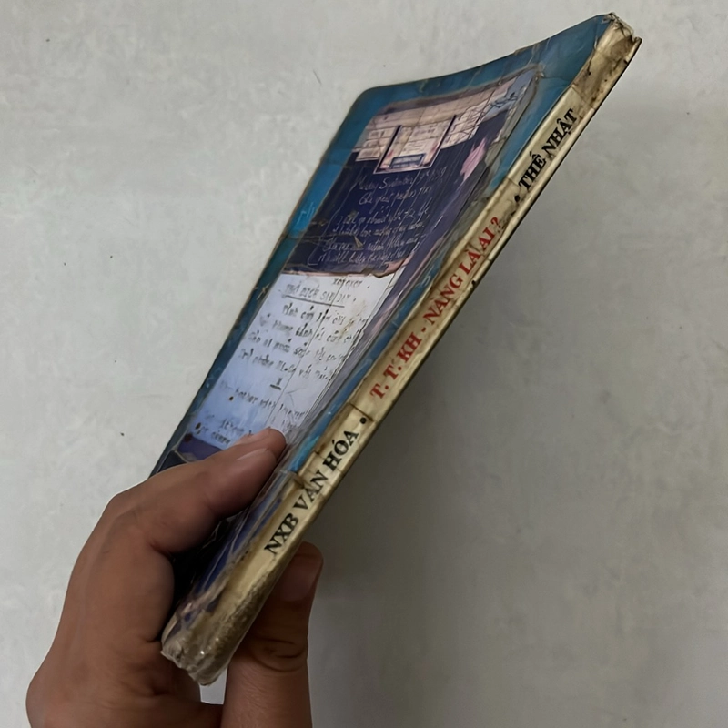 T.T.KH nàng là ai — Thế Nhật 498548