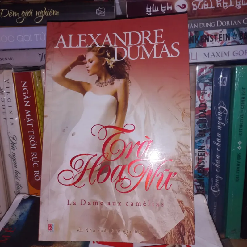 Trà hoa nữ 571194