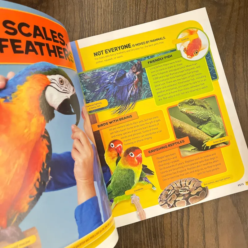 ✨𝑬𝒗𝒆𝒓𝒚𝒕𝒉𝒊𝒏𝒈 𝑷𝒆𝒕𝒔✨ 701627