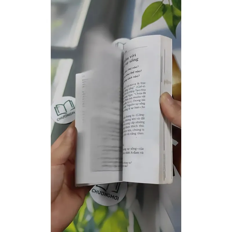 Combo: Kinh Thánh Thật Sự Dạy Gì, Đạo Yêu Thương 727295