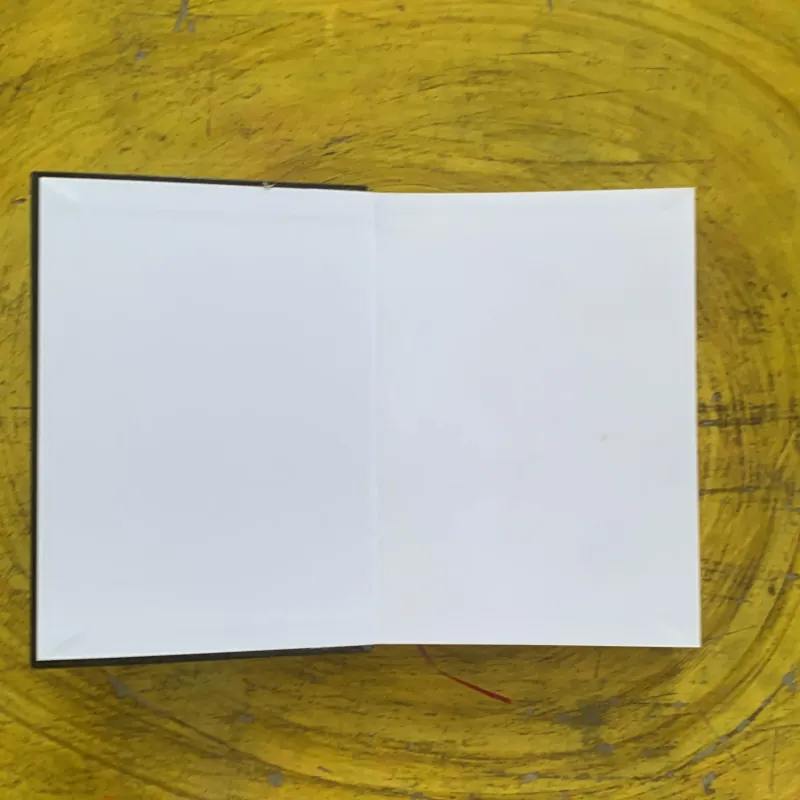 CỰU ƯỚC & TÂN ƯỚC GIẢN LƯỢC - HUANG SABIN   1029455