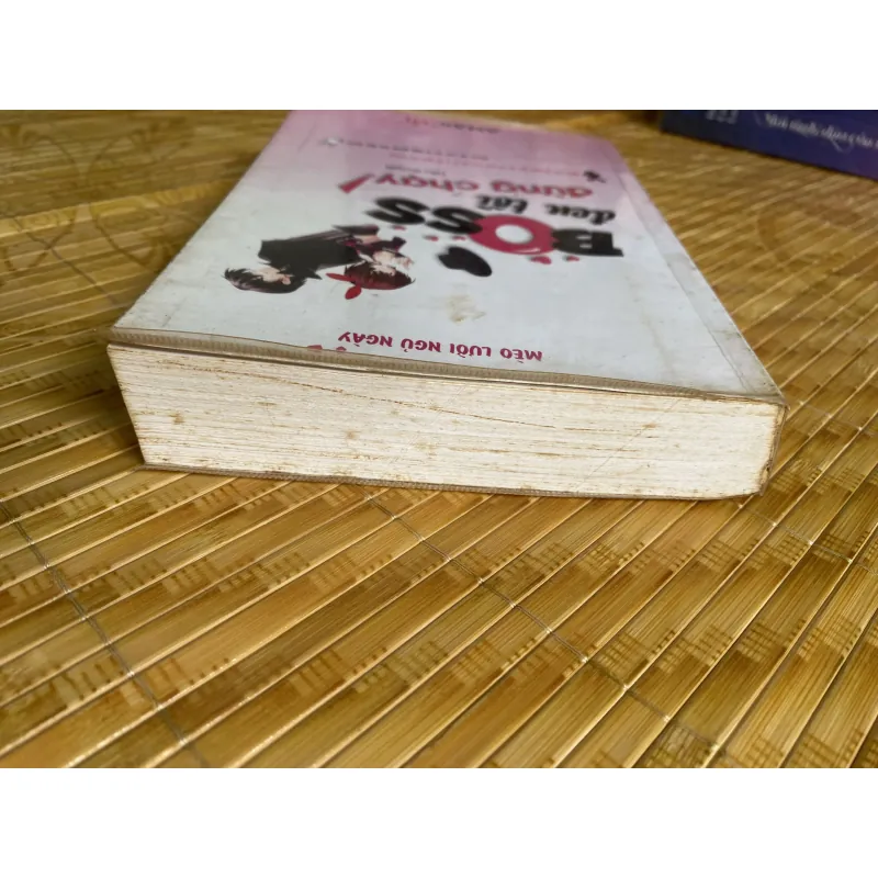 Boss đen tối đừng chạy 507112