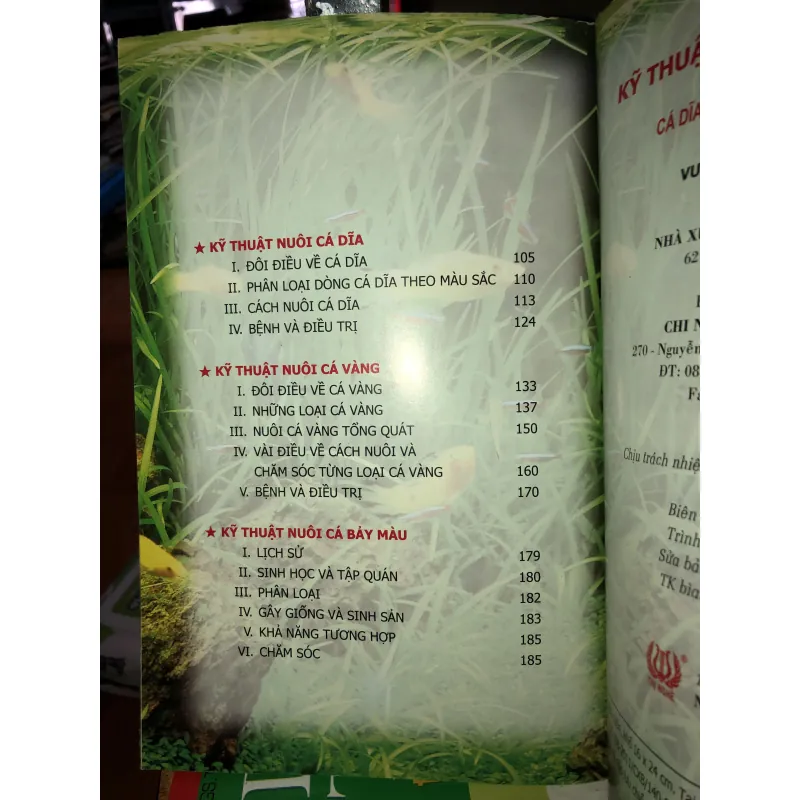 Kỹ thuật nuôi cá chép Koi - cá xiêm - cá rồng - cá dĩa - cá vàng - cá bảy màu 745842