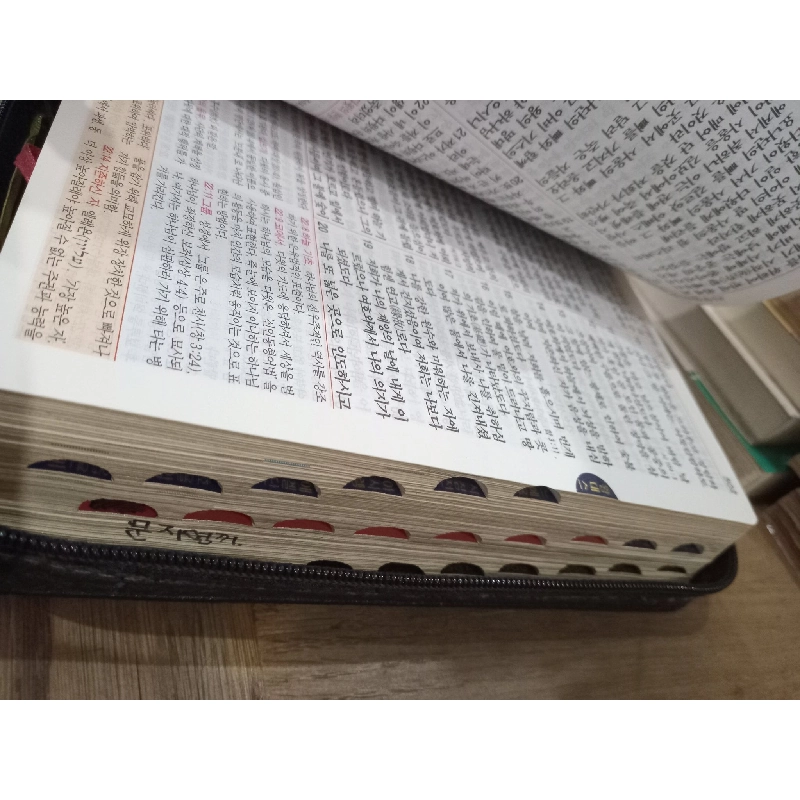 Sách tiếng Hàn: Big color bible 929104