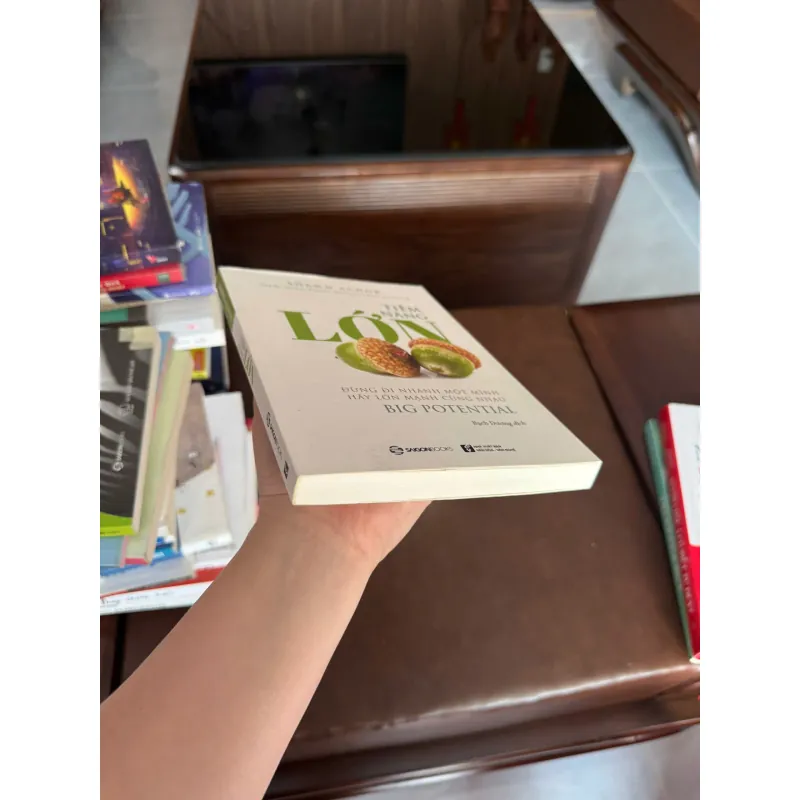 TIỀM NĂNG LỚN – Shawn Achor (Big Potential) - K3 1006577