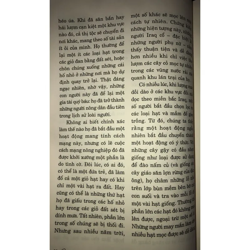 IRAQ Chặn đường lịch sử  749621