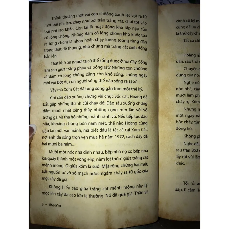 Tình cát - Nguyễn Quang Lập 1007119