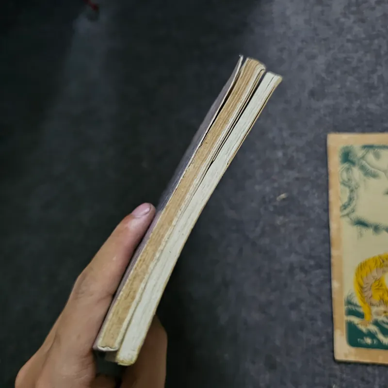 Hò hẹn trên đồi - Thời gian của một tiếng thở dài - Anne Philipe 734688