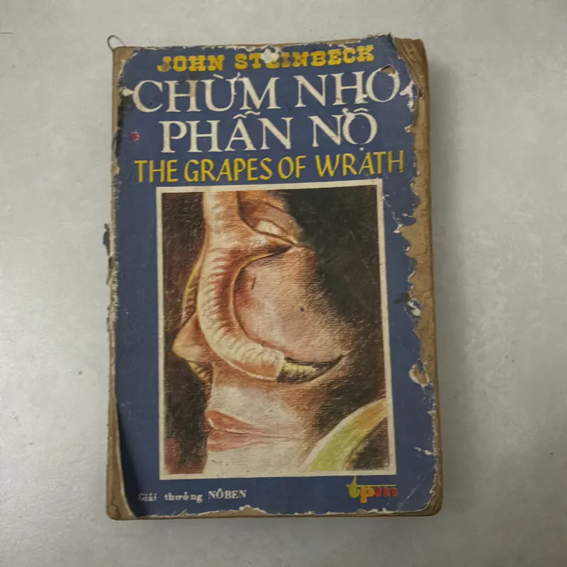 Chùm nho phẫn nộ Tập 1 - 1989s 719280