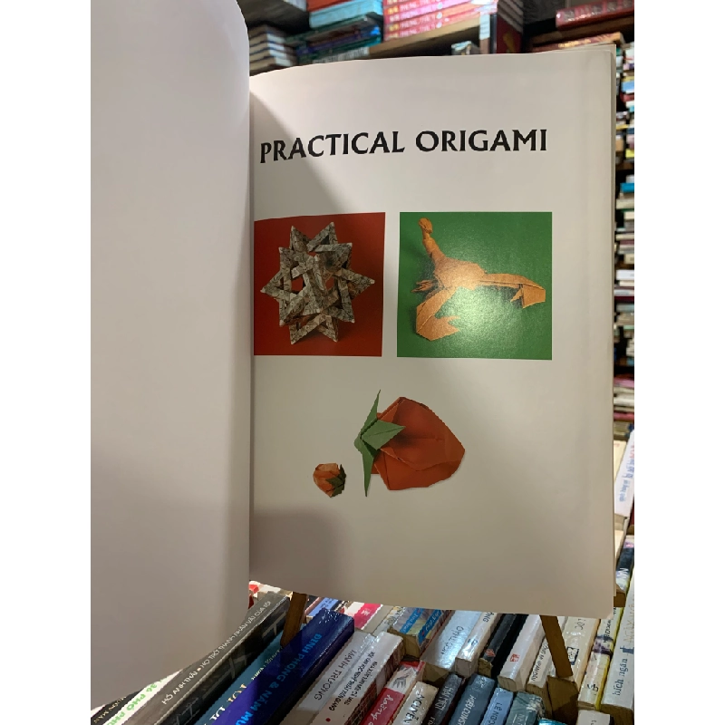 Practical Origami : A step-by-step guide to the ancient art of paperfolding - Rick Beech 358127