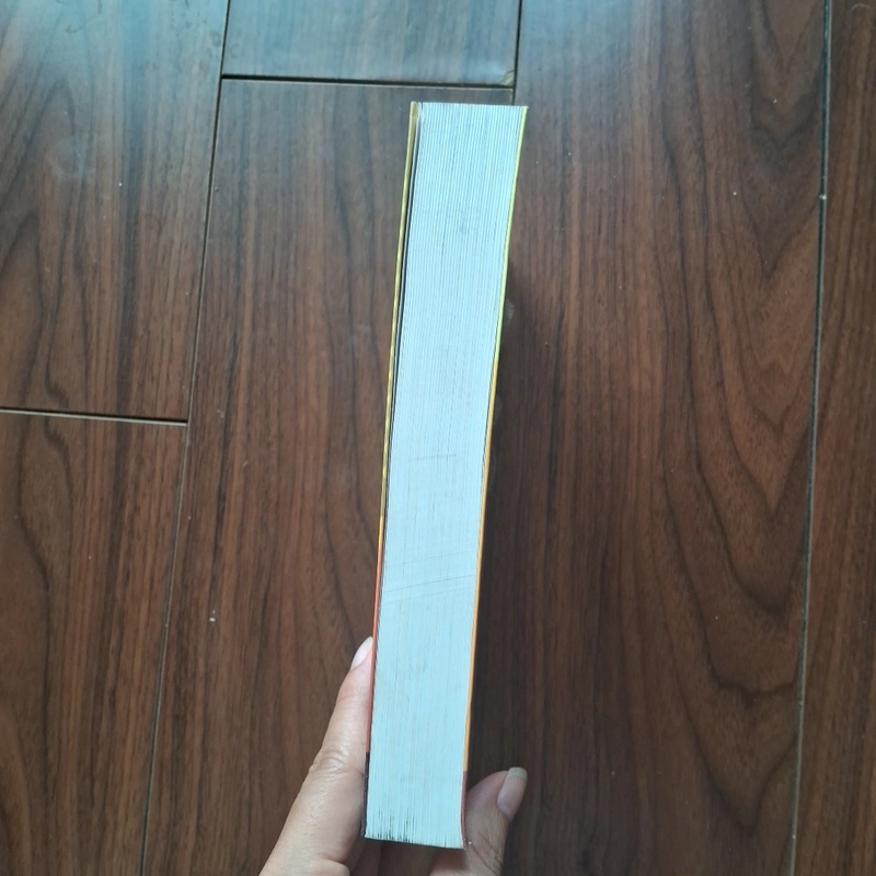 Ngàn mặt trời rực rỡ  502164