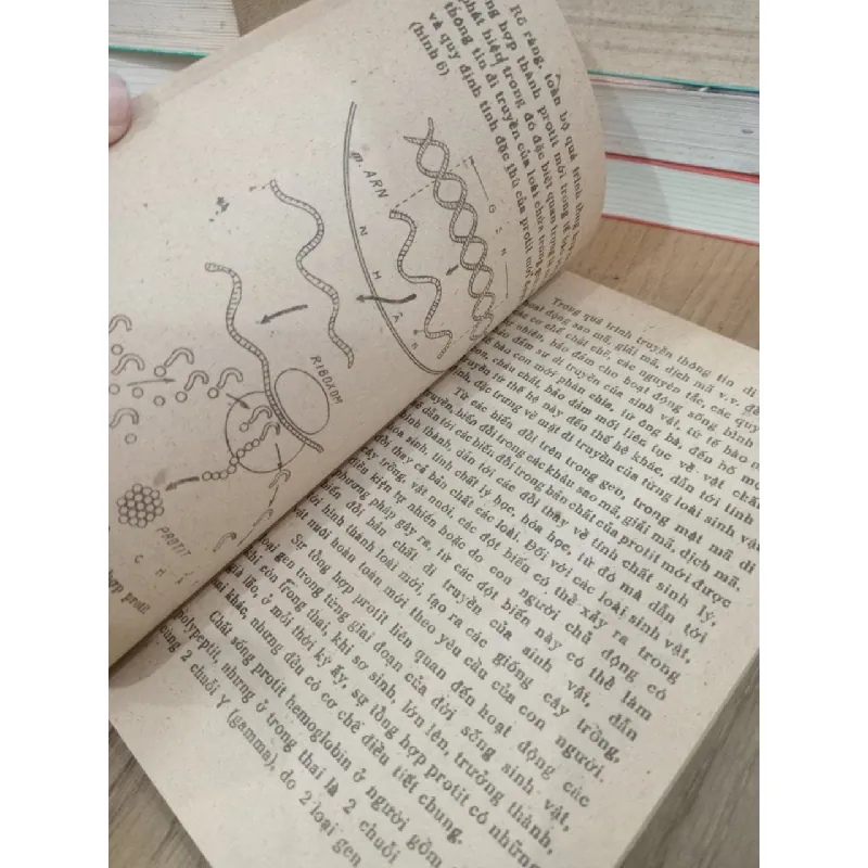 Kỳ lạ trong sự sống - Phan Cự Nhân 717216