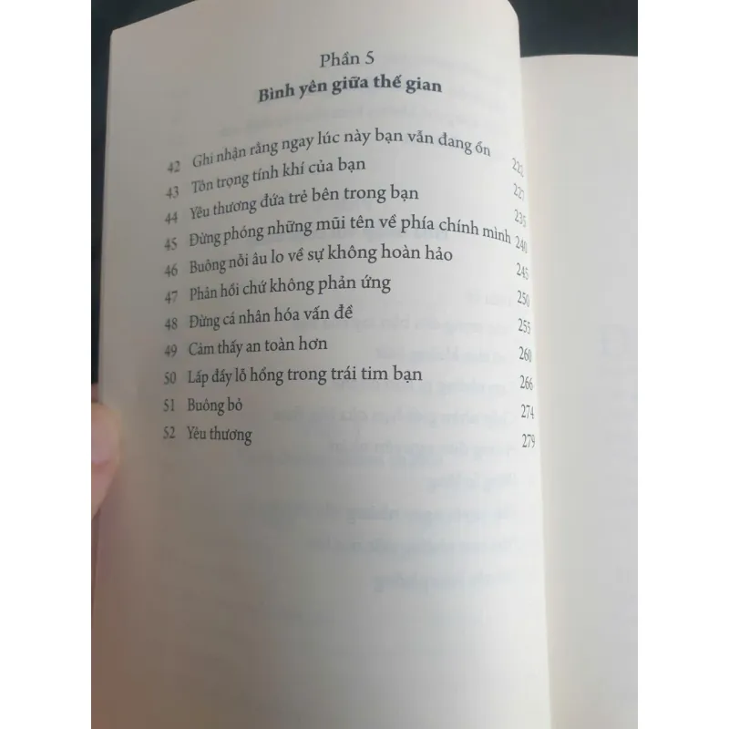 Tích Tiểu Thành Đại - Nuôi Dưỡng Bộ Não Phật Qua 52 Thực Hành Đơn Giản 712422