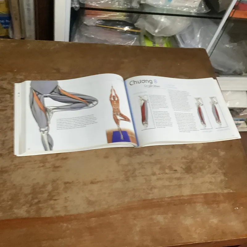 CÁC CƠ CHÍNH TRONG YOGA - RAY LONG  935200