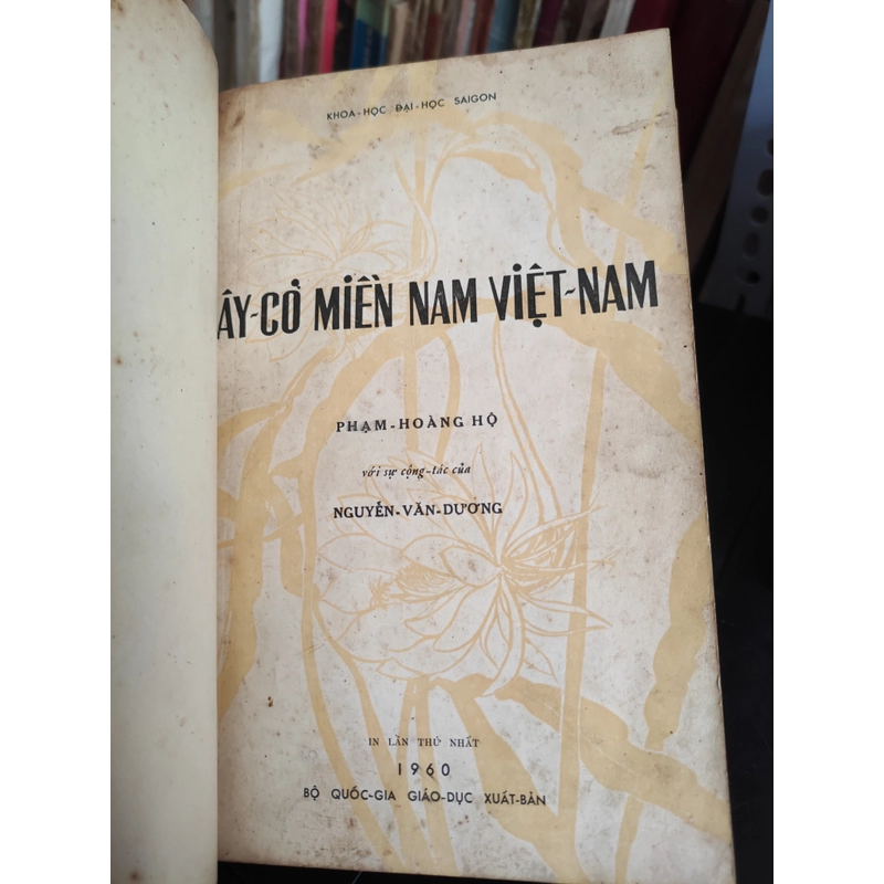 Cây cỏ miền Nam Việt Nam 299737