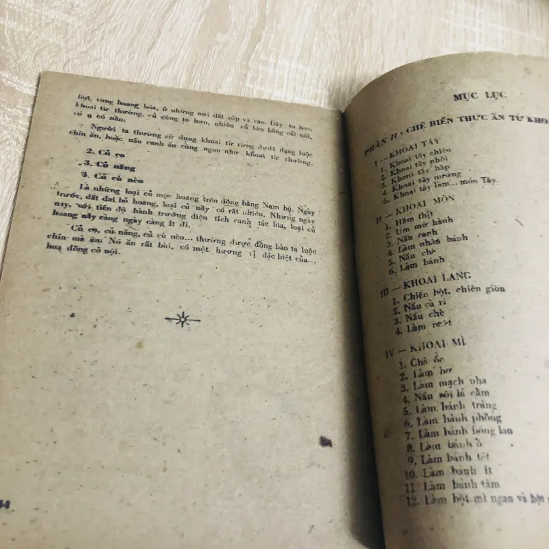 MÓN ĂN VIỆT NAM TỪ RAU CỦ QUẢ  956926