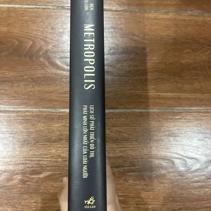 Lịch sử phát triển đô thị, phát minh lớn nhất của loài người - Metropolis (10) 1006069