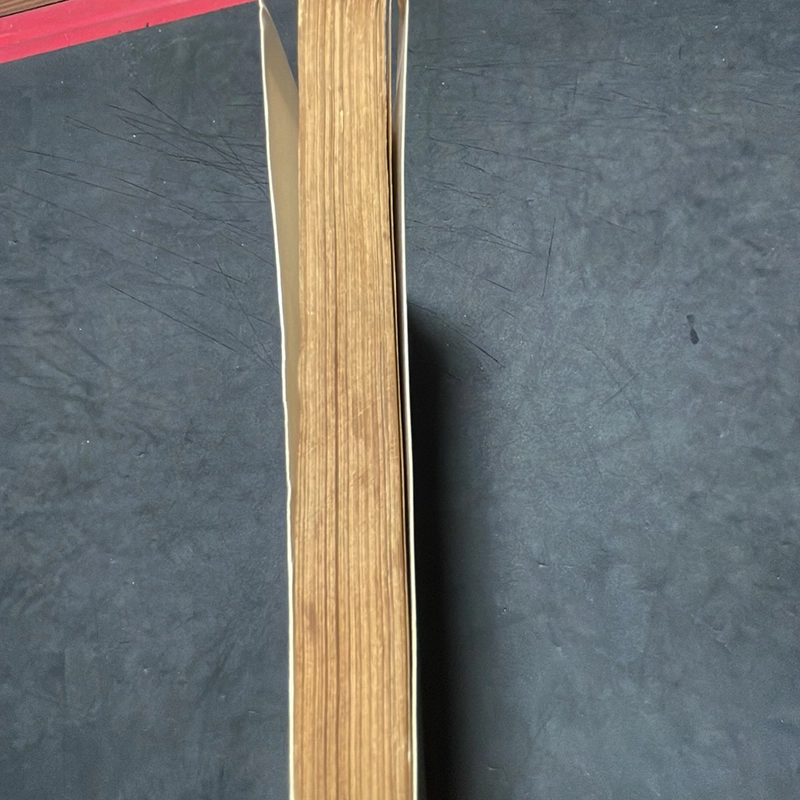 Trang trí nội ngoại thất theo thẩm mỹ và phong thuỷ phương Đông Phạm Cao Hoàn 317529