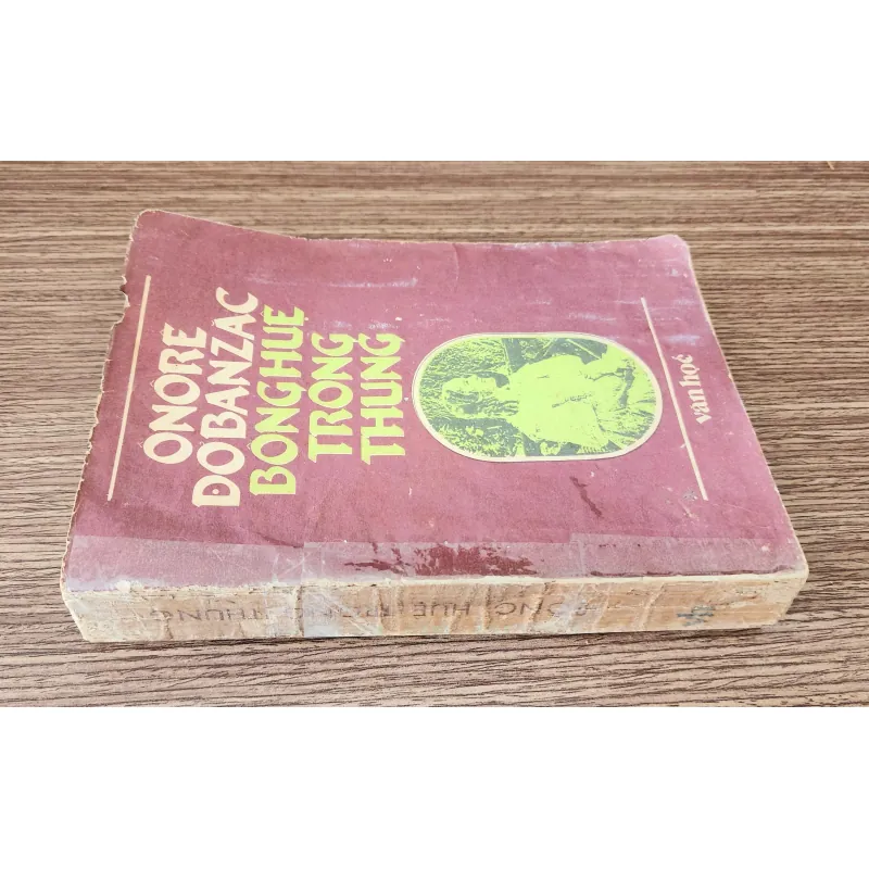 Tiểu thuyết của đại văn hào H. De Balzac: BÔNG HUỆ TRONG THUNG (441 trang) 948606