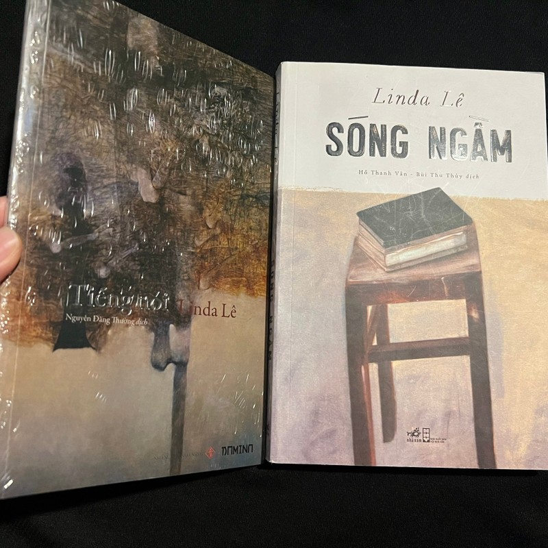 Combo Sách Tiếng Nói + Sóng Ngầm - Linda Lê 149039